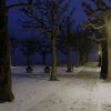 Светодиодный парковый светильник Schreder Hapiled