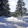 Светодиодный парковый светильник Schreder Hapiled