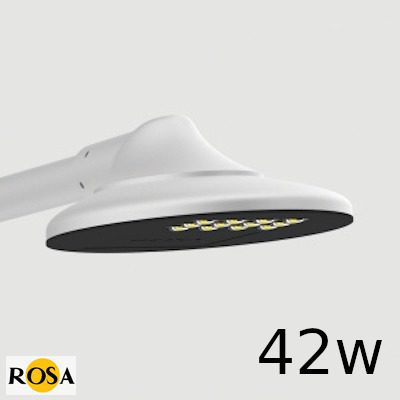 Світлодіодний світильник парковий Rosa GEMINI LED 42W