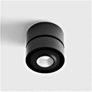 Светильник потолочный накладной EYE SURF L черный